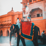 Jaipur Tour & Trip